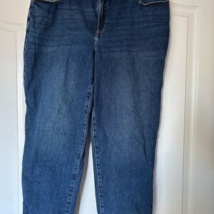 Lane Bryant Dark Blue Straight Leg Jeans